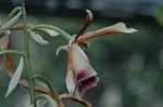 Dcim5837/DSC_0774
