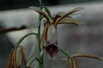 Dcim5837/DSC_0775