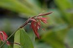 Dcim5837/DSC_0784