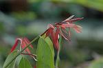 Dcim5837/DSC_0786
