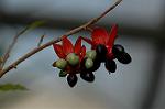 Dcim5837/DSC_0793