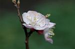 Dcim5837/DSC_0825