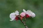 Dcim5837/DSC_0826