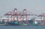 Dcim5839/DSC_0981