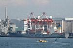Dcim5842/DSC_1271