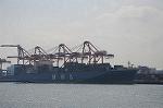Dcim5843/DSC_5094