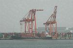 Dcim5848/DSC_1445
