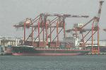 Dcim5850/DSC_1724