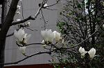 Dcim5851/DSC_5470