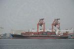 Dcim5852/DSC_5528