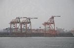 Dcim5852/DSC_5583