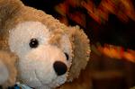 Dcim5857/DSC_2129