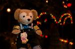 Dcim5857/DSC_2144