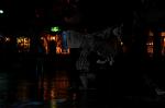 Dcim5859/DSC_5940