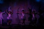 Dcim5865/DSC_6784