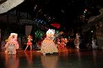 Dcim5868/DSC_7260