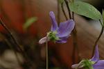 Dcim5874/DSC_2217