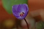 Dcim5874/DSC_2224