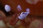 Dcim5874/DSC_2228