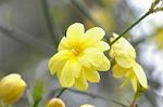 Dcim5874/DSC_2242