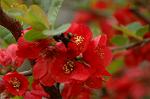 Dcim5874/DSC_2263