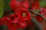 Dcim5874/DSC_2264