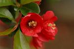 Dcim5874/DSC_2265