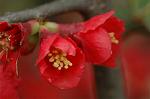 Dcim5874/DSC_2266