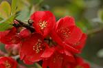 Dcim5874/DSC_2268