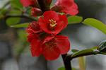 Dcim5874/DSC_2269