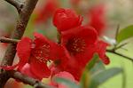 Dcim5874/DSC_2271