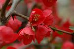 Dcim5874/DSC_2272