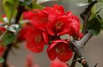 Dcim5874/DSC_2273