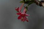 Dcim5874/DSC_2276
