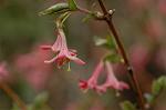 Dcim5874/DSC_2278