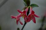 Dcim5874/DSC_2279