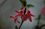 Dcim5874/DSC_2280