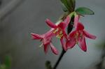 Dcim5874/DSC_2282