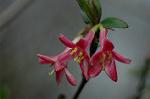 Dcim5874/DSC_2283