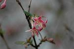 Dcim5874/DSC_2284