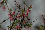 Dcim5874/DSC_2286