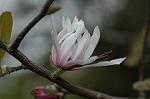 Dcim5874/DSC_2302