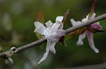 Dcim5874/DSC_2303