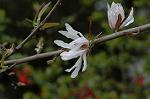 Dcim5874/DSC_2309