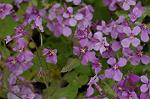 Dcim5874/DSC_2320