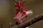 Dcim5874/DSC_2340