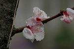Dcim5874/DSC_2341