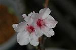 Dcim5875/DSC_2347