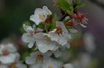Dcim5875/DSC_2362