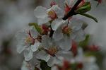 Dcim5875/DSC_2365